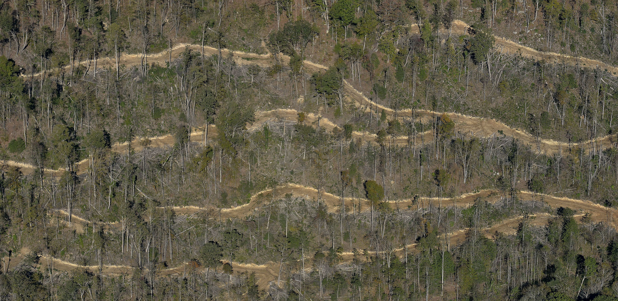 Logging Trails